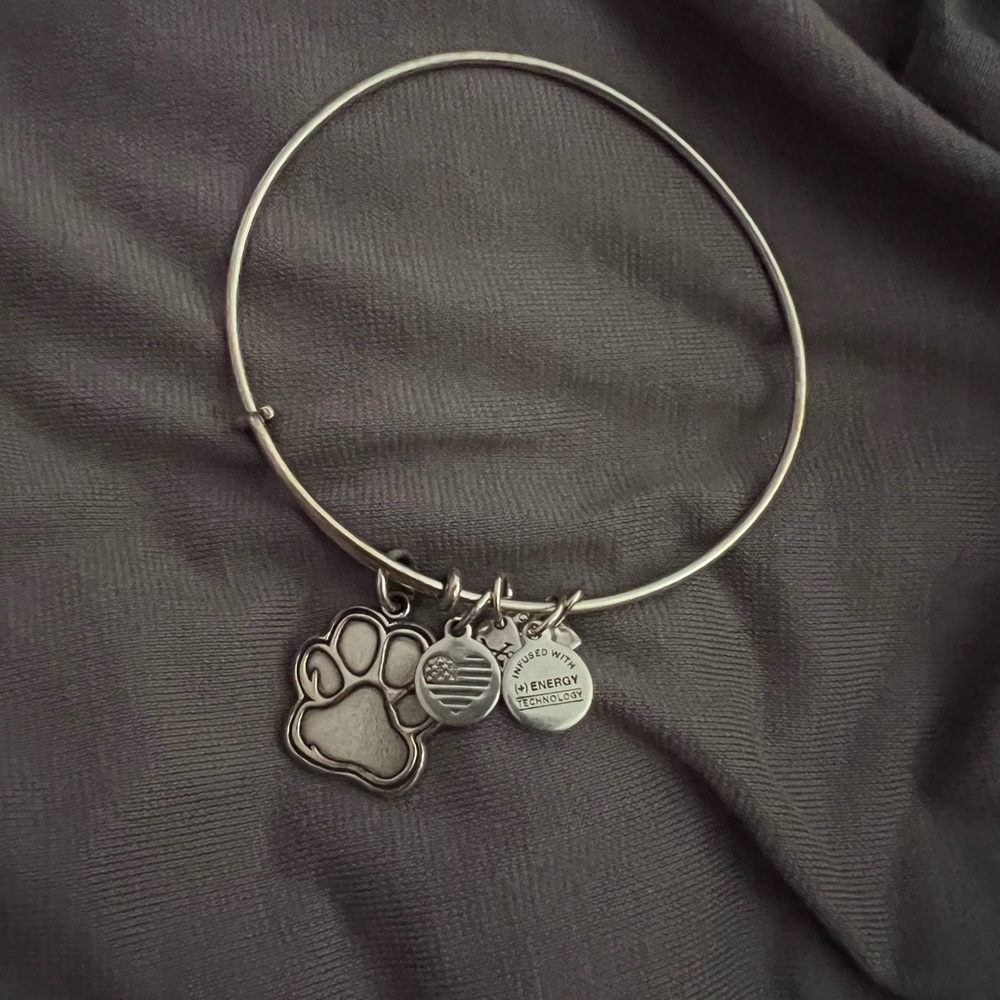 Alex & Ani Silver Charm Bangle Bracelet - Picture 1 of 2